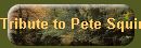 Tribute to Pete Squires