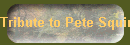 Tribute to Pete Squires