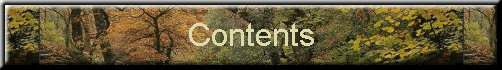 Contents
