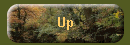 Up